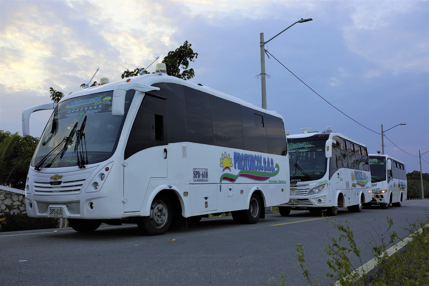 transporte en buses