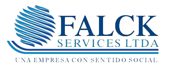 logo falk service